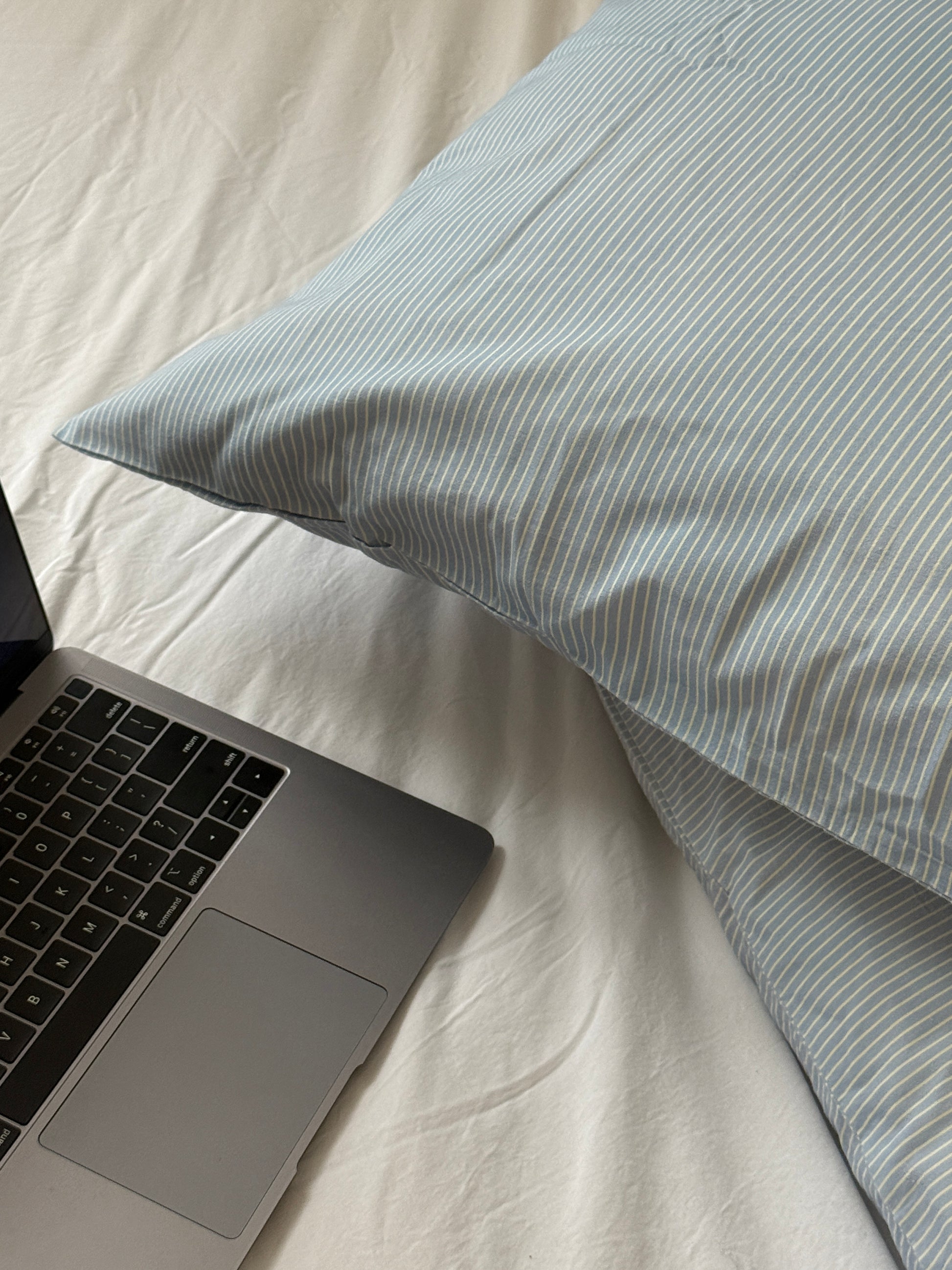 Still Blue Pillow and Sheet Set